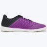 Футзалки Nike Lunar Gato II
